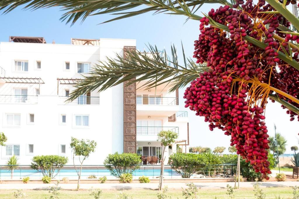 Private Beach Resort Cyprus Vokolidha Екстер'єр фото
